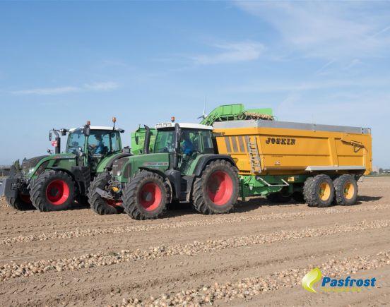 Oogst Pasfrost