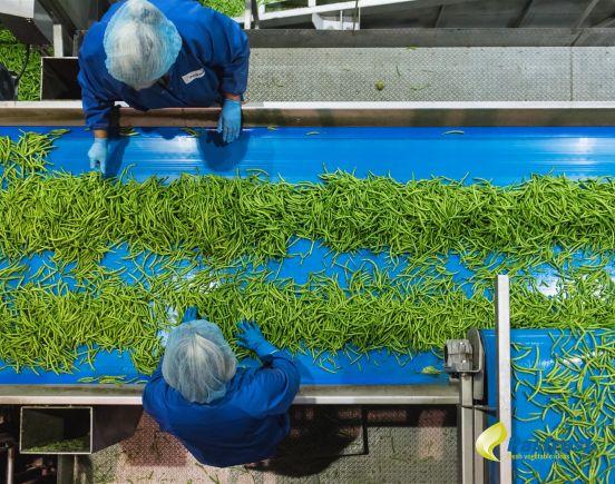 Medewerkers Pasfrost