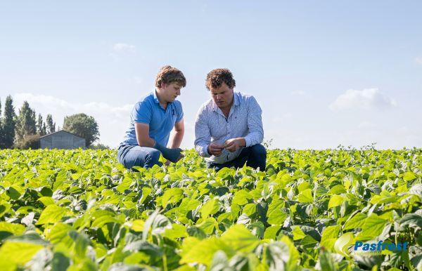 Nauwgezette teeltopvolging